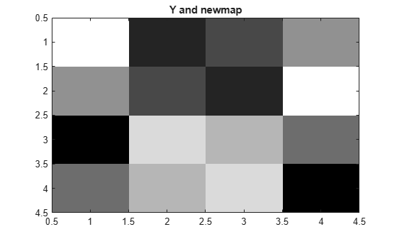 Figure contains an axes object. The axes object with title Y and newmap contains an object of type image.