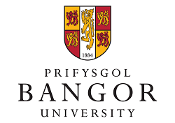 bangor-university-31508820