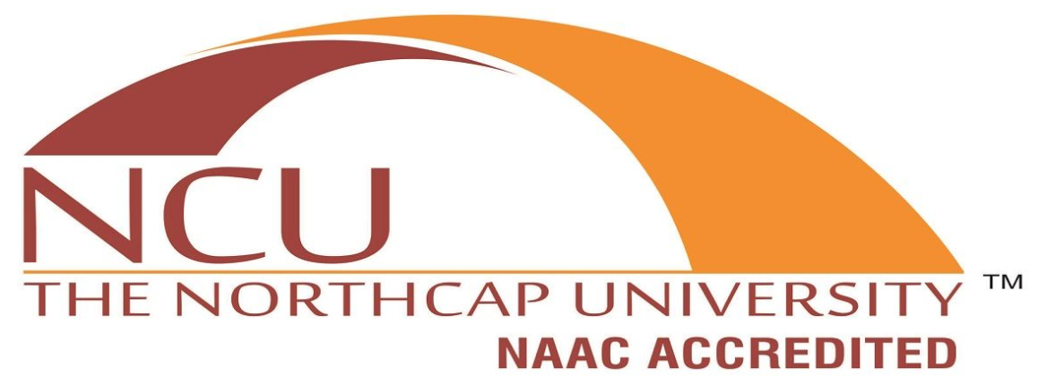 The Northcap University
