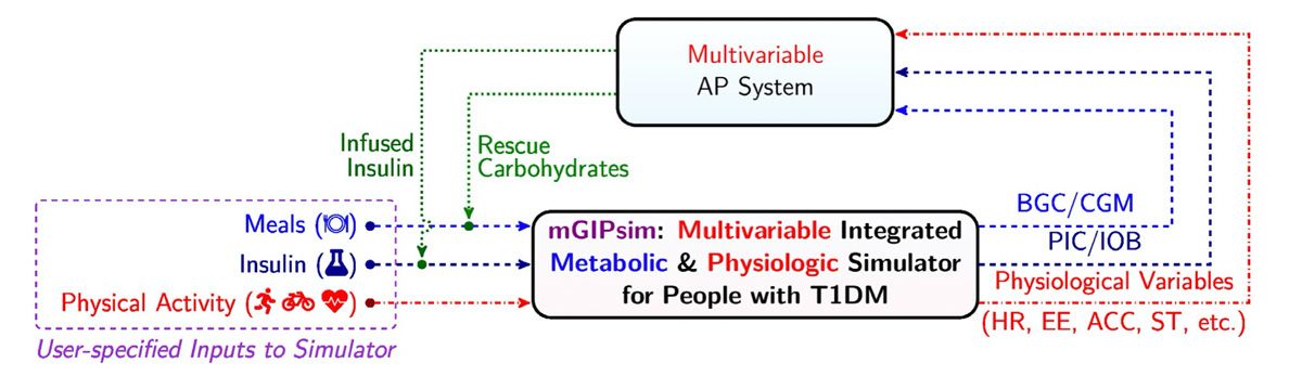 A diagram showing the workflow for the mGIPsim simulator generating physiological signals for virtual patients based on user-defined meal, insulin, and physical activity inputs and feeding that information to the multivariable AP system, which then generates insulin and rescue carbohydrates.