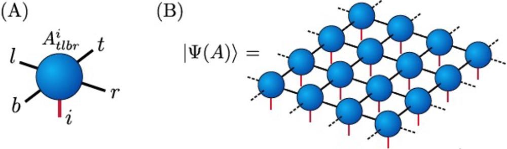 A diagram showing how a tensor network is contracted to virtual indices of a tensor.