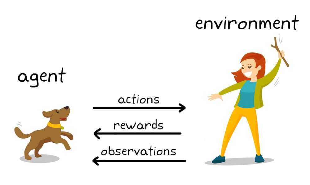 Abbildung 1. Verstärkendes Lernen in der Hundeerziehung.