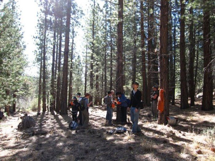 The Tree Team taking core samples