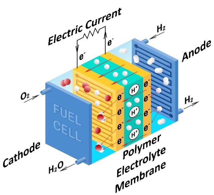 Alternative Fuels Data Center: How Do Fuel Cell Electric Vehicles Work  Using Hydrogen?