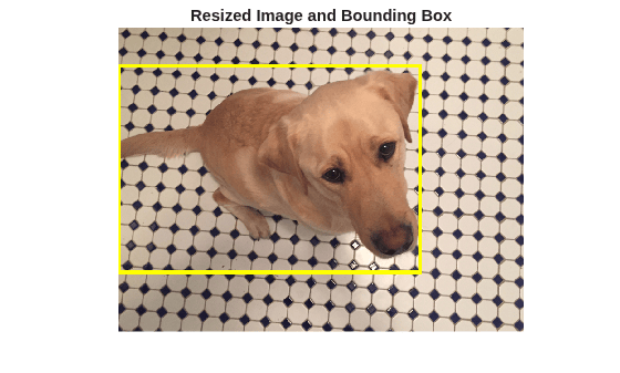 Figure contains an axes object. The hidden axes object with title Resized Image and Bounding Box contains an object of type image.