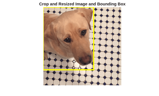 Figure contains an axes object. The hidden axes object with title Crop and Resized Image and Bounding Box contains an object of type image.