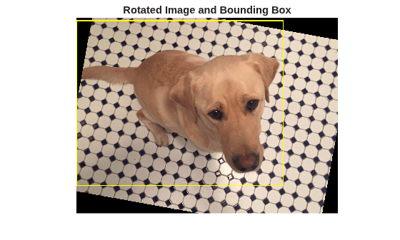 Figure contains an axes object. The hidden axes object with title Rotated Image and Bounding Box contains an object of type image.