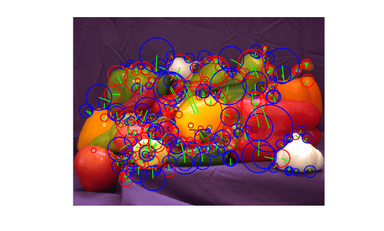 Generate GPU Code for Feature Extraction Algorithm