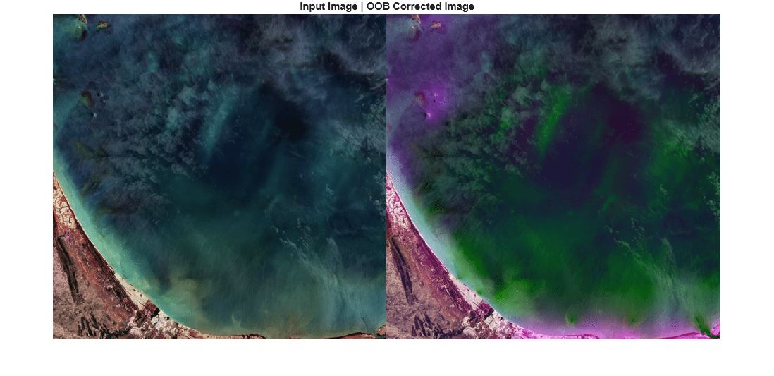 Figure contains an axes object. The hidden axes object with title Input Image | OOB Corrected Image contains an object of type image.
