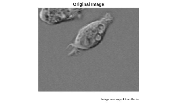 Figure contains an axes object. The hidden axes object with title Original Image contains 3 objects of type image, text.
