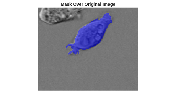 Figure contains an axes object. The hidden axes object with title Mask Over Original Image contains an object of type image.