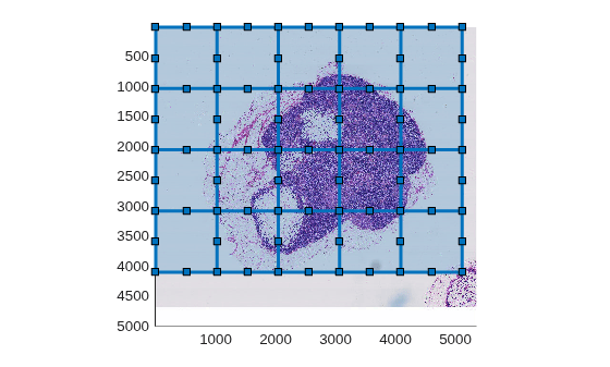 Figure contains an axes object. The axes object contains 21 objects of type bigimageshow, images.roi.rectangle.