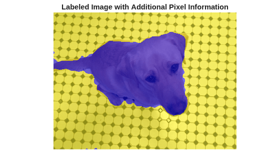 Figure contains an axes object. The hidden axes object with title Labeled Image with Additional Pixel Information contains an object of type image.