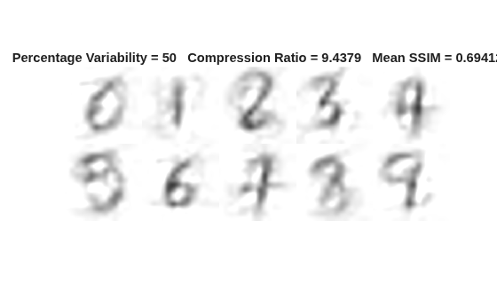 Figure contains an axes object. The hidden axes object with title Percentage Variability = 50 Compression Ratio = 9.4379 Mean SSIM = 0.69412 contains an object of type image.