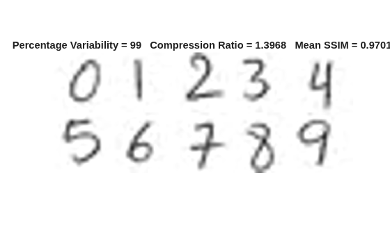 Figure contains an axes object. The hidden axes object with title Percentage Variability = 99 Compression Ratio = 1.3968 Mean SSIM = 0.9701 contains an object of type image.