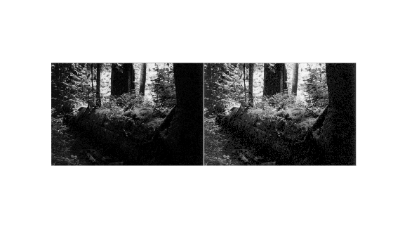 Figure contains an axes object. The hidden axes object contains an object of type image.