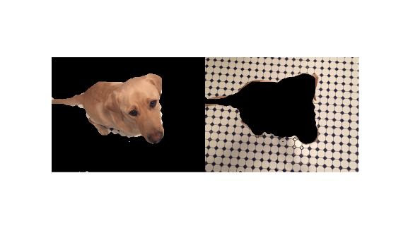 Figure contains an axes object. The hidden axes object contains an object of type image.