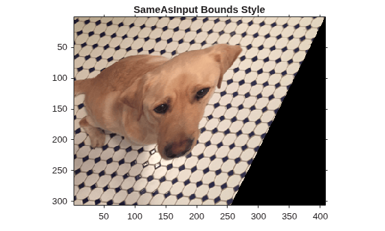 Figure contains an axes object. The axes object with title SameAsInput Bounds Style contains an object of type image.