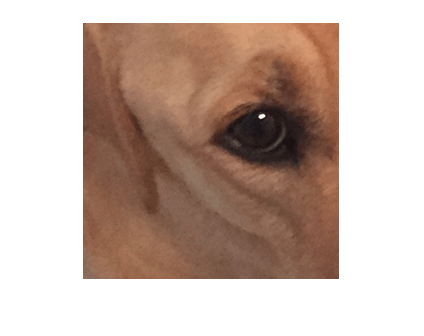 Figure contains an axes object. The hidden axes object contains an object of type image.