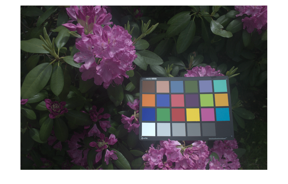 Figure contains an axes object. The hidden axes object contains an object of type image.