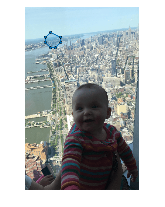 Figure contains an axes object. The hidden axes object contains 2 objects of type image, images.roi.polygon.