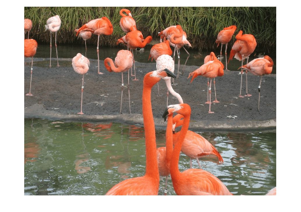 Figure contains an axes object. The hidden axes object contains an object of type image.