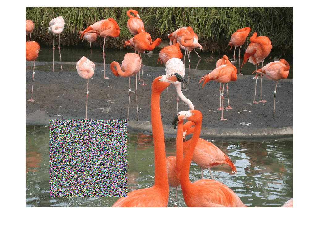 Figure contains an axes object. The hidden axes object contains an object of type image.