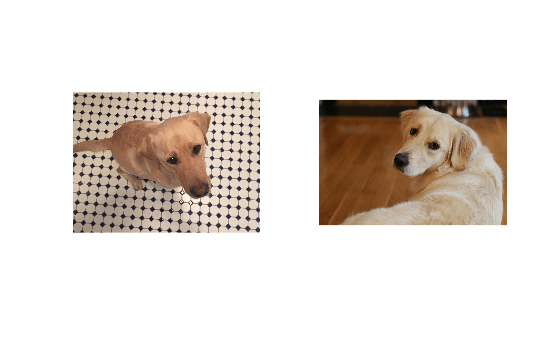 Figure contains 2 axes objects. Hidden axes object 1 contains an object of type image. Hidden axes object 2 contains an object of type image.