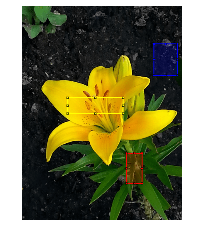 Figure contains an axes object. The hidden axes object contains 4 objects of type image, images.roi.rectangle.