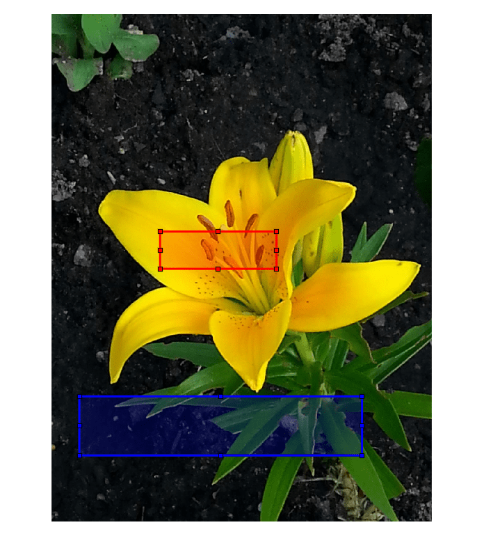 Figure contains an axes object. The hidden axes object contains 3 objects of type image, images.roi.rectangle.