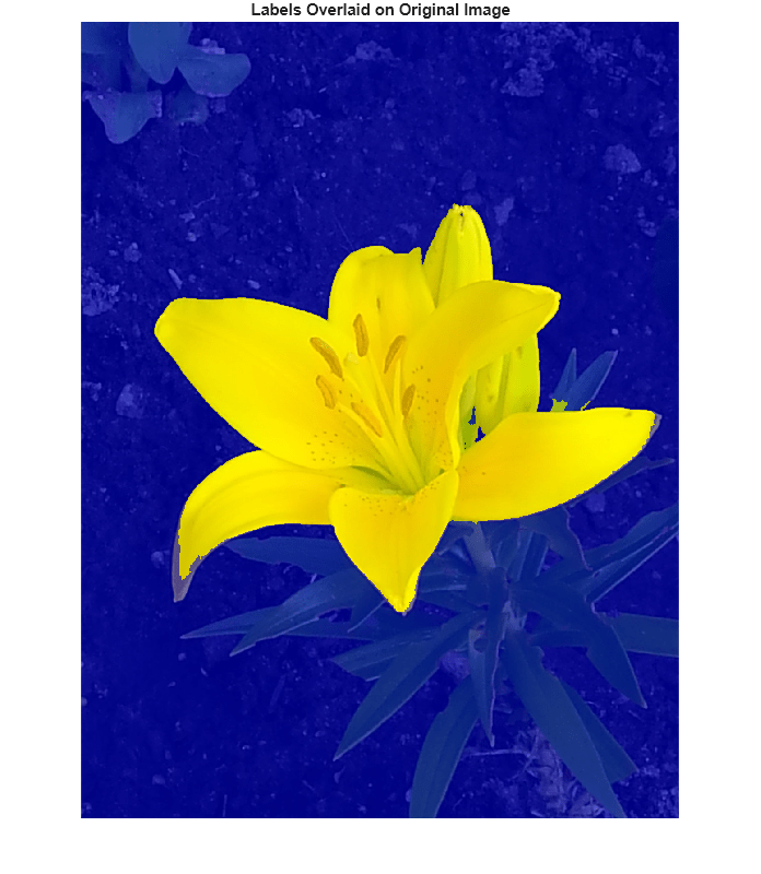 Figure contains an axes object. The hidden axes object with title Labels Overlaid on Original Image contains an object of type image.