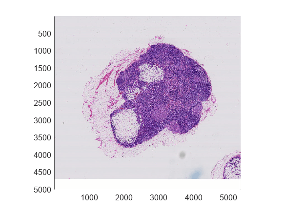 Figure contains an axes object. The axes object contains an object of type bigimageshow.