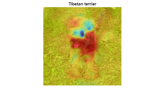Figure contains an axes object. The hidden axes object with title Tibetan terrier contains 2 objects of type image.