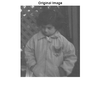 Figure contains an axes object. The hidden axes object with title Original Image contains an object of type image.