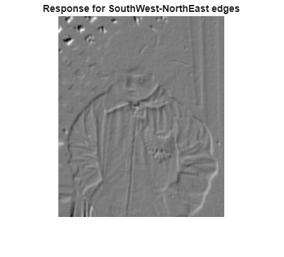 Figure contains an axes object. The hidden axes object with title Response for SouthWest-NorthEast edges contains an object of type image.