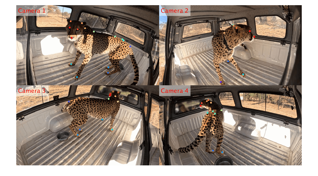 Figure contains an axes object. The hidden axes object contains an object of type image.