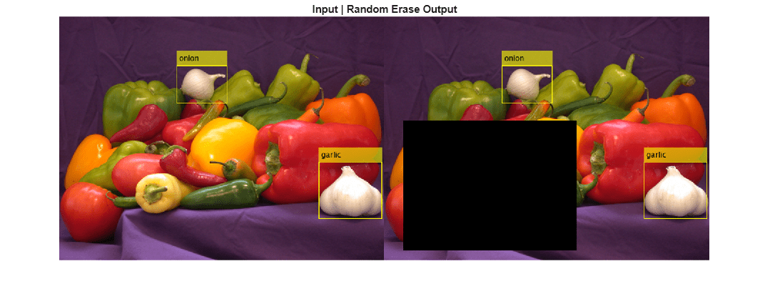 Figure contains an axes object. The hidden axes object with title Input | Random Erase Output contains an object of type image.