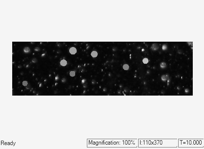 Replace Intensity Values in ROI with its Maximum Value - MATLAB & Simulink