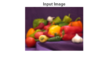 Figure contains an axes object. The hidden axes object with title Input Image contains an object of type image.