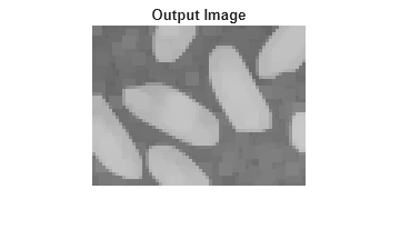 Figure contains an axes object. The hidden axes object with title Output Image contains an object of type image.