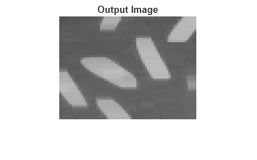 Figure contains an axes object. The hidden axes object with title Output Image contains an object of type image.