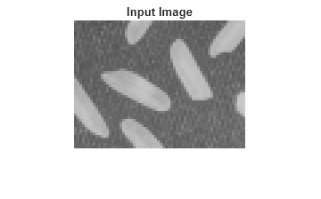 Figure contains an axes object. The hidden axes object with title Input Image contains an object of type image.