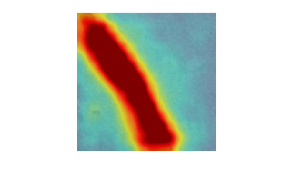 Figure contains an axes object. The hidden axes object contains an object of type image.