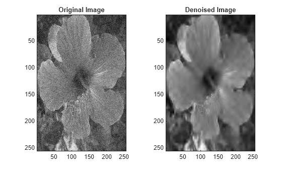 Figure contains 2 axes objects. Axes object 1 with title Original Image contains an object of type image. Axes object 2 with title Denoised Image contains an object of type image.