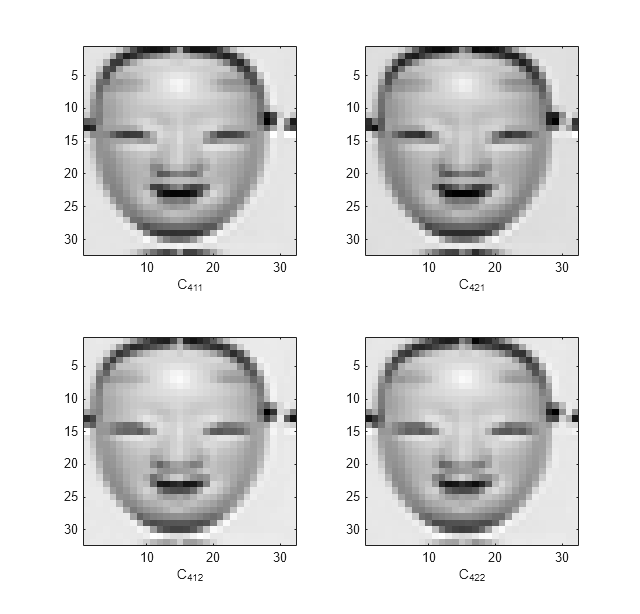Figure CPLXDDDT contains 4 axes objects. Axes object 1 with xlabel C_{411} contains an object of type image. Axes object 2 with xlabel C_{421} contains an object of type image. Axes object 3 with xlabel C_{412} contains an object of type image. Axes object 4 with xlabel C_{422} contains an object of type image.
