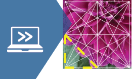 Computer Vision Basics courseware module