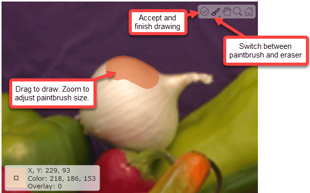 Screenshot of the paintbrush tool being used to draw an overlay on an image of an onion, with toolbar buttons for switching between brush and eraser and for accepting the drawing