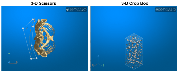 Volume displays showing the 3-D scissors and cropping box tools