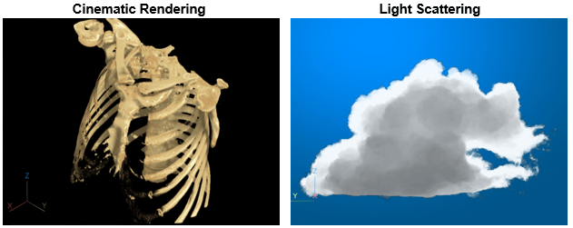 3-D volume displays created using the cinematic rendering and light scattering rendering styles