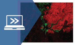 Climate Data Visualization and Analysis courseware module